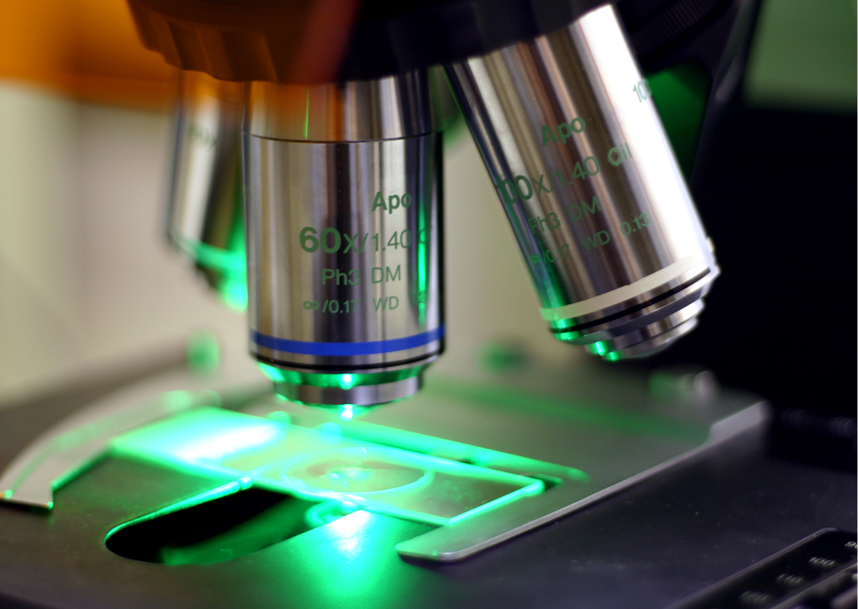 microscoio de fluoresencia